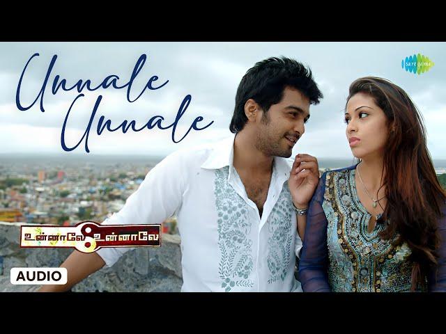 Unnaale Unnaale - Audio Song | Vinay, Sadha, Tanisha | Harris Jayaraj | Krish, Karthik, Harini