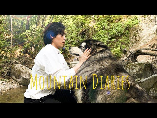 It's been 4 years livng in the mountain of Korea | Mountain Diaries 