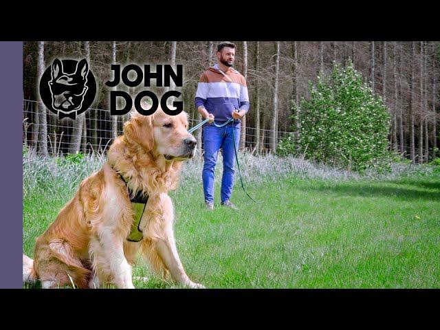 Stres w interakcji z drugim psem – WARSZTATY PSICH EMOCJI – John Dog