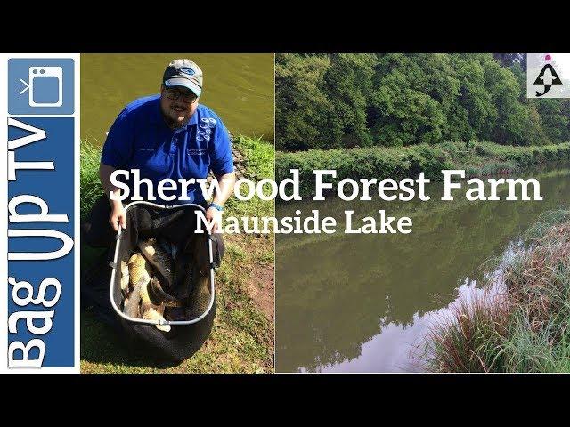 Sherwood Forest Fishery - BagUp TV - Maunside - Match Win - Live Match Fishing Footage - 14/05/2017