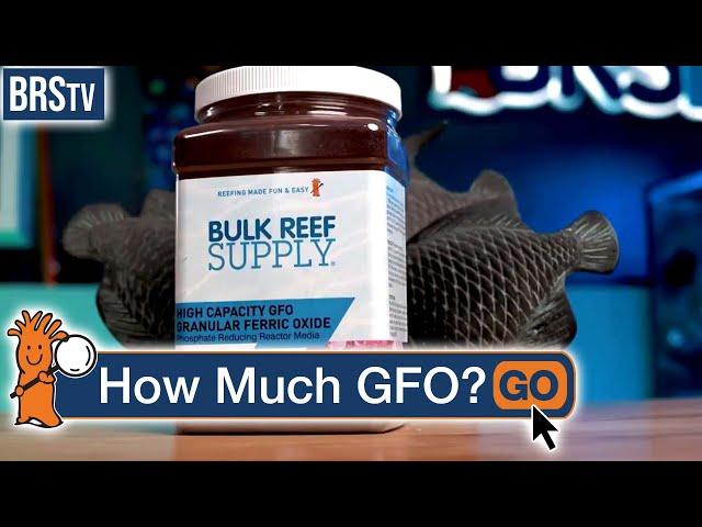 How Much GFO Does a Reef Tank Need?