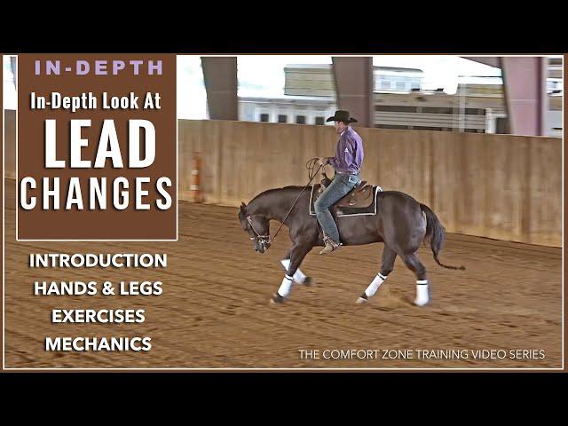 How to Train LEAD CHANGES - My favorite approach