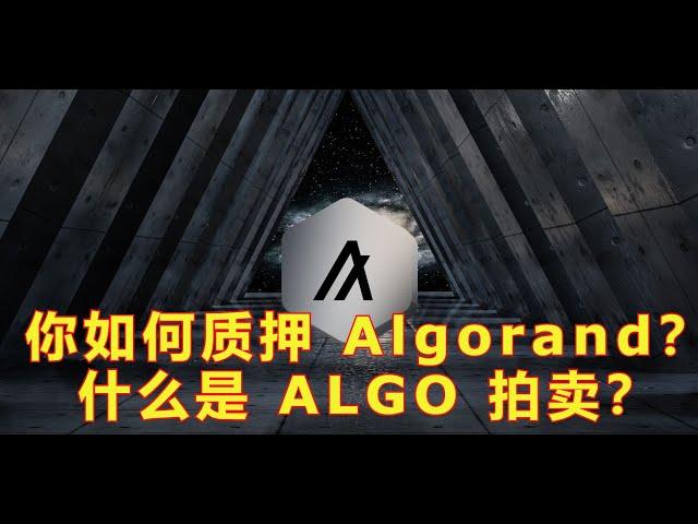 什么是 ALGO 拍卖？