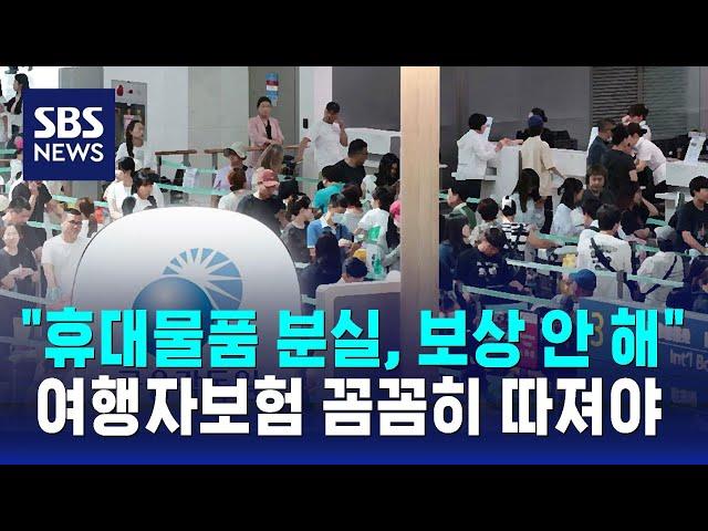 "휴대물품 분실은 보상 안 해"…여행자보험 꼼꼼히 따져야 / SBS