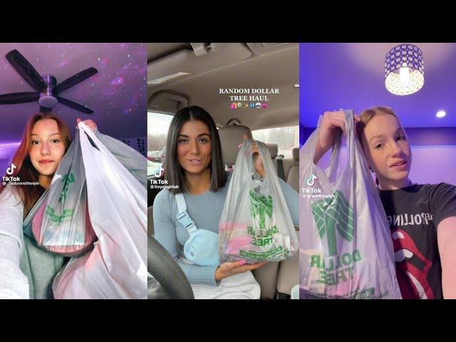 Dollar tree haul tiktok