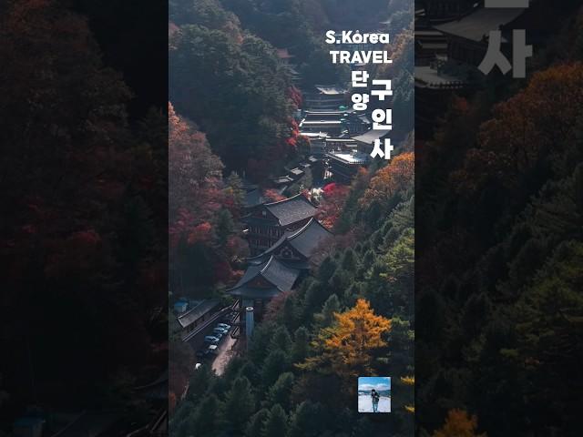대한민국 사찰이라는게 믿기지 않는 곳! 단양의 가을 명소라고도 소개되는 아름다운 여행지. #단양여행 #단양가볼만한곳 #구인사 #구인사단풍 #단양구인사 #사찰여행 #여행