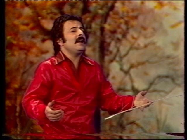 Shahrokh-Payeez شاهرخ  - پاییز