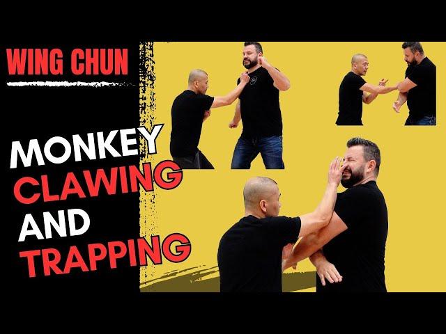 Wing Chun: Monkey Clawing, Trapping and Power Generation - Kung Fu Report #378