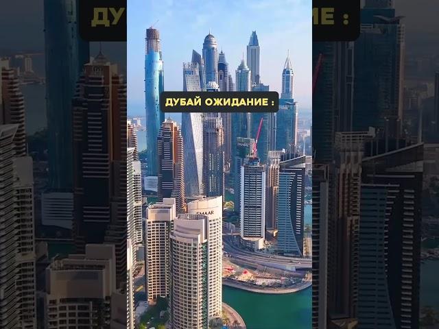 Дубай: ожидание VS реальность #dubai #дубай
