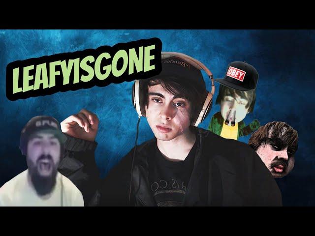 The Unstable Internet Career Of Leafy