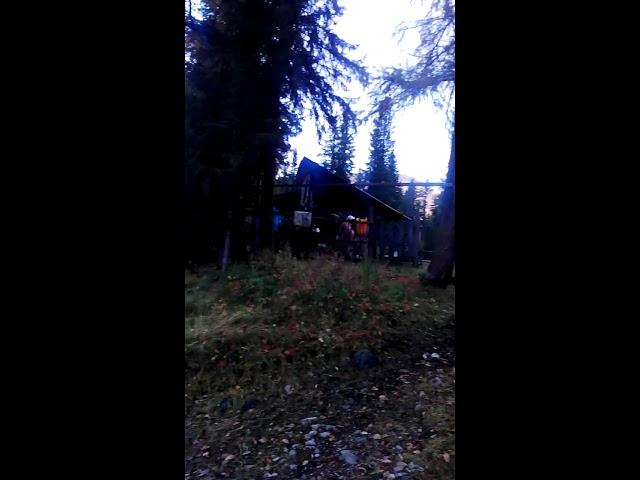 максим васильевич