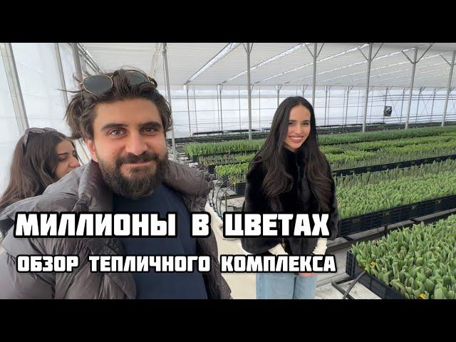 Дорогу молодым или как правильно вложиться в цветы #залуковицамитюльпановкомне