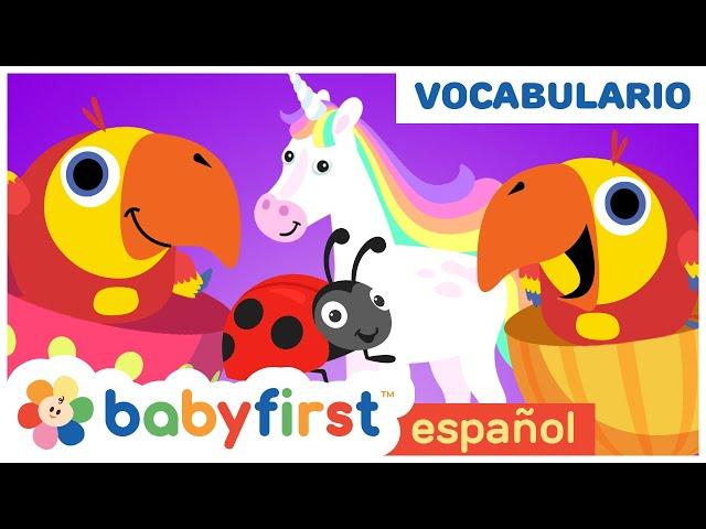 Primeras Palabras para Bebes en Español | Huevos Surpresas con Larry el Loro | Baby First Español