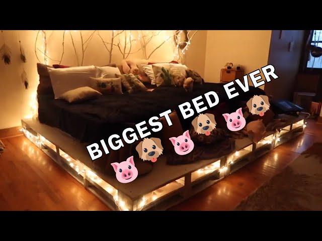 BUILDING A GIANT BED FOR MY PETS