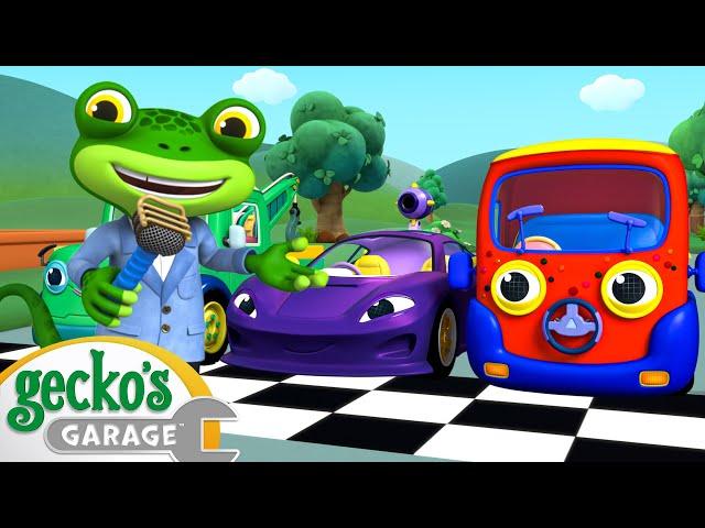The Car Competition! | Gecko's Animal Pals | Animal & Vehicle Cartoons | Cartoons for Kids
