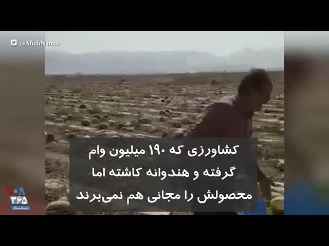 کشاورزی که ۱۹۰ میلیون وام گرفته و هندوانه کاشته اما محصولش را مجانی هم نمی‌برند