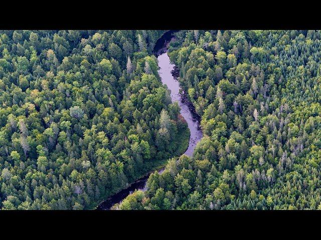 One of the Greatest Environmental Challenges of Our Time—Protecting America's Working Forests