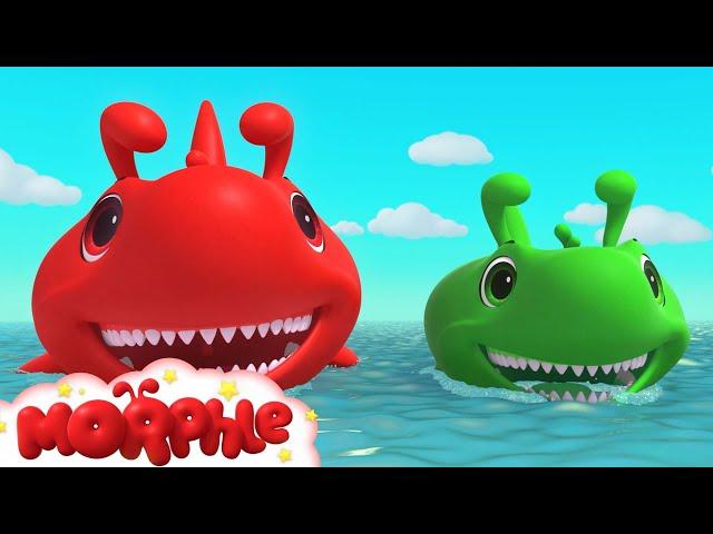 Morphle is a Shark | Morphle and Gecko's Garage - Cartoons for Kids | @Morphle