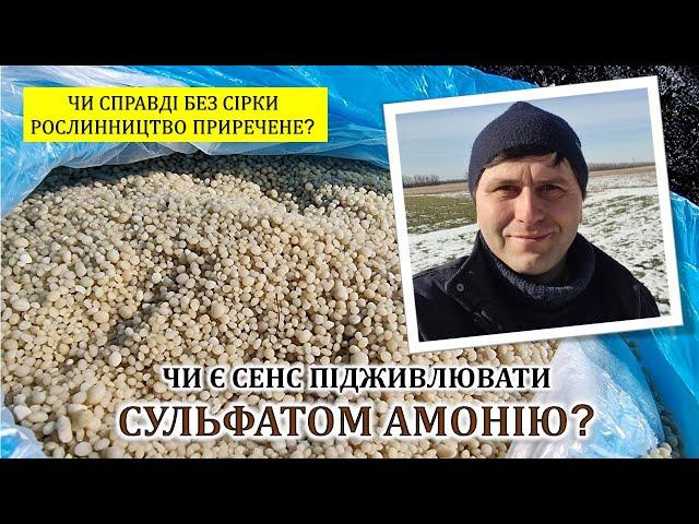 Чи є сенс підживлювати сульфатом амонію?