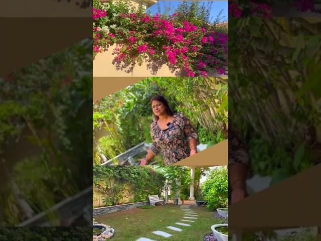 Dubai Home Tour | Out Door Garden #shorts #homedot #hometech