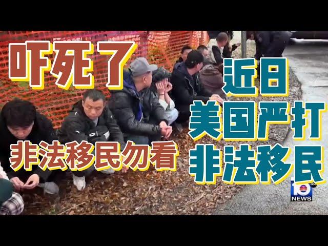 【非法移民勿看】【川普就职前】移民执法局在美国各地开始大规模抓捕移民【川粉们好开心】