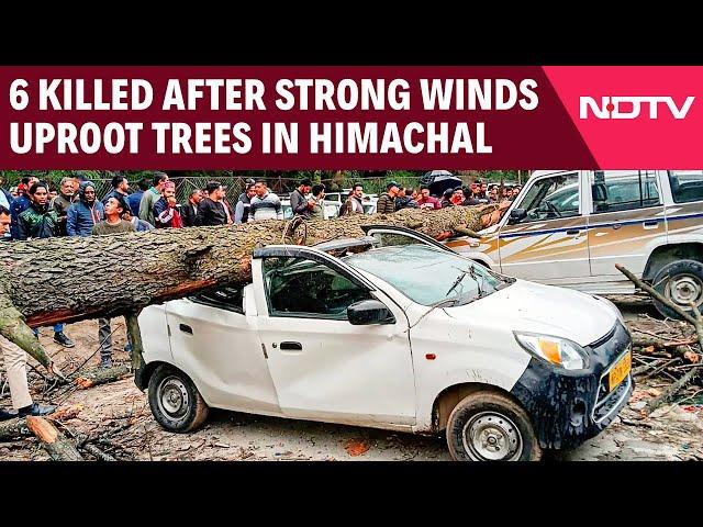 Himachal Pradesh News | 6 Killed After Strong Winds Uproot Trees In Himachal Tourist Area