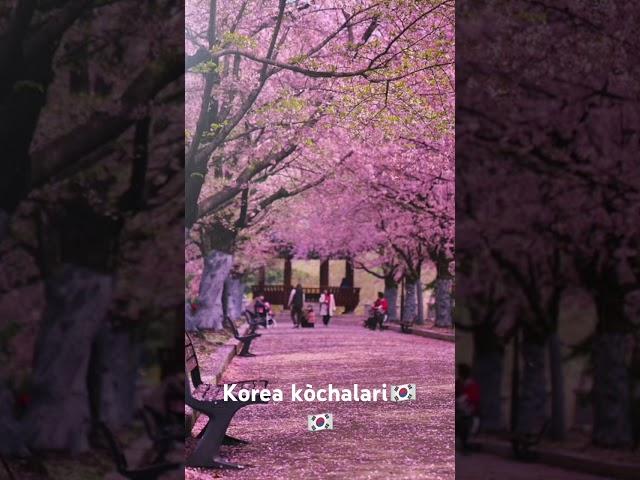 Id kemadi hozircha shu🫠🫠