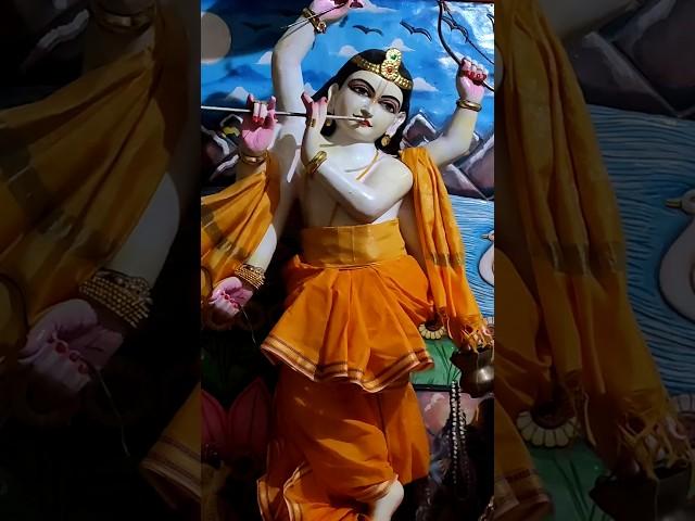 Special Darshan at gupt Vrindavan #viralvideo #guptvrindavan #jaipur #iskcon #simantdwipbace