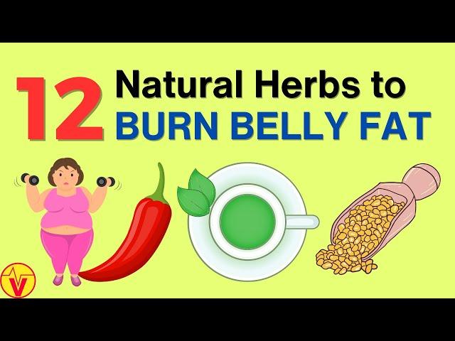 Melt Your Belly Fat Overnight with These 12 Miracle Herbs! | VisitJoy