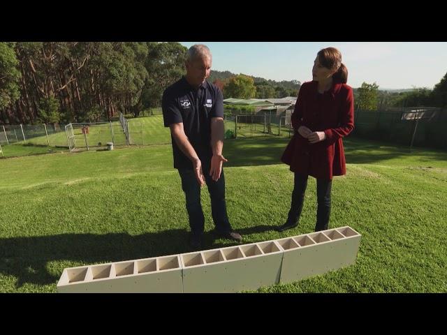 Australian Drug Detector Dogs: how they are trained - S1 Ep 6