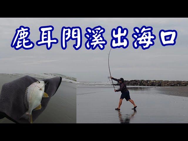 [胖咪]來出海口的沙灘 看看有什麼魚可以釣／ Gamma 35-400遠投竿／surf fishing casting!