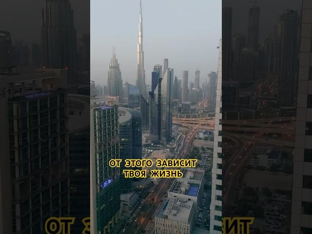 ОСОЗНАННЫЙ ВЫБОР ПРАВИЛЬНЫХ УБЕЖДЕНИЙ #психология #личность #story #саморазвитие #путешествия