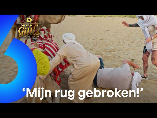 Peter maakt GIGANTISCHE SMAK van DROMEDARIS!  | Familie Gillis