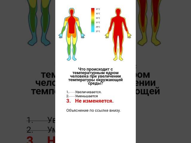 2405310039 ответ  терморегуляция