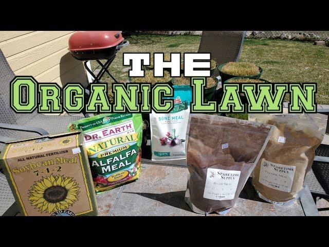 How Organic Lawn Care Fertilizers Work: The Ingredients Exposed