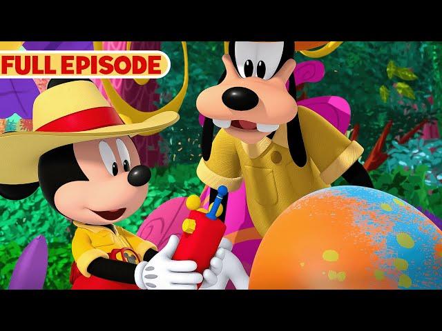 Mickey Mouse Funhouse Dinosaur Safari Full Episode | S2 E16 | Dino Safari | @disneyjr​