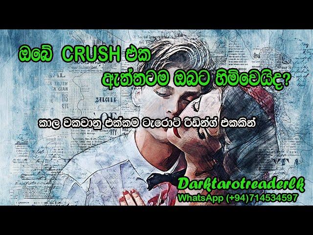 ඔබේ Crush එක ඇත්තටම ඔබට හිමිවේද?|Sinhala|#tarotreading #tarotcards #Futurw #love