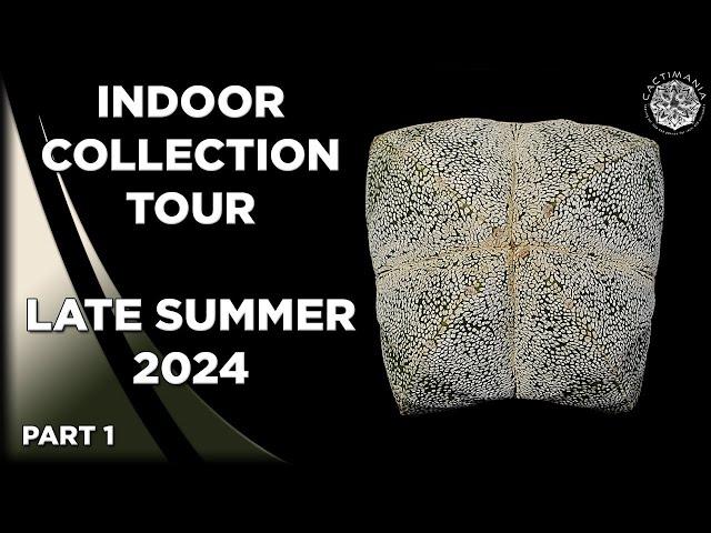 #Cactus & #Succulent Indoor Collection Tour | Late Summer 2024 | Part 1