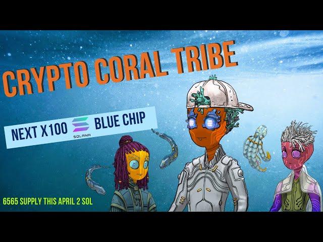 أفضل مشاريع  للشراء الآن  Crypto Coral Tribe NFT Solana