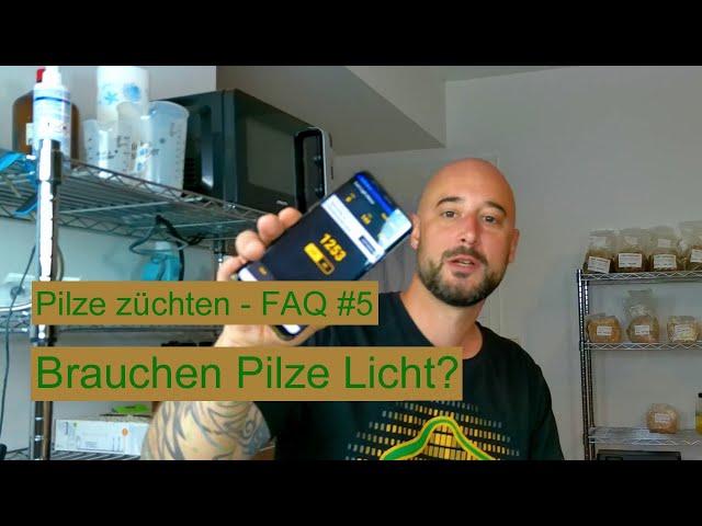 Pilze züchten - Brauchen Pilze Licht? Pilzzucht FAQ #5