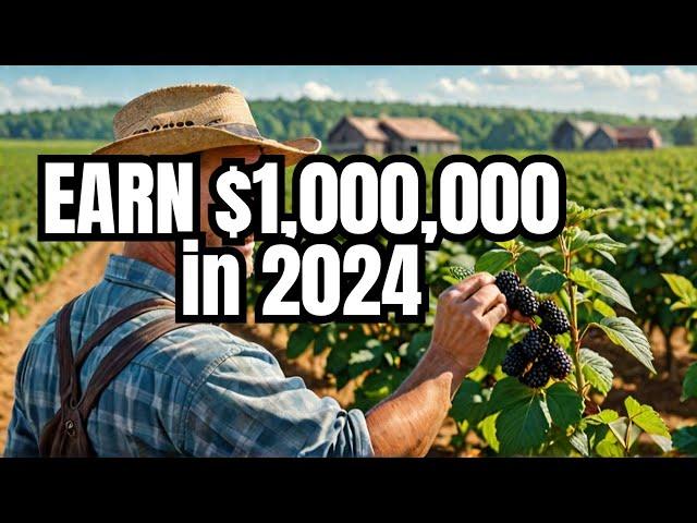 Blackberry Farming Techniques to Make $1,000,000 in 2024 | Amazing Garden