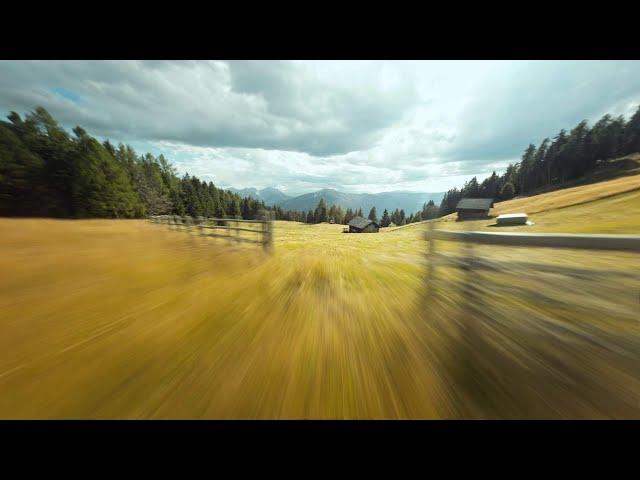 Flying through golden fields - Cinematic FPV