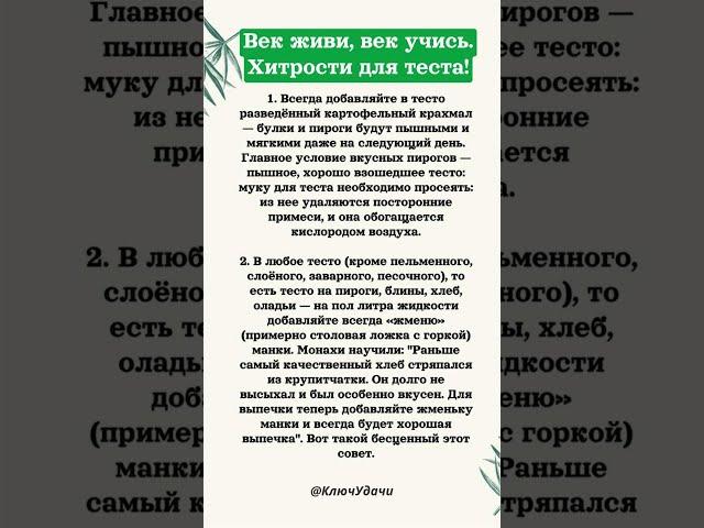век живи век учись хитрости для теста