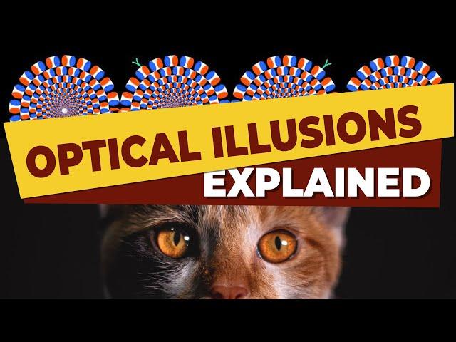 Optical Illusions Explained