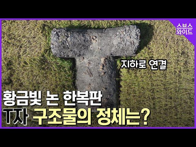 스브스와이드도 처음본 기이한 구조물 미스터리