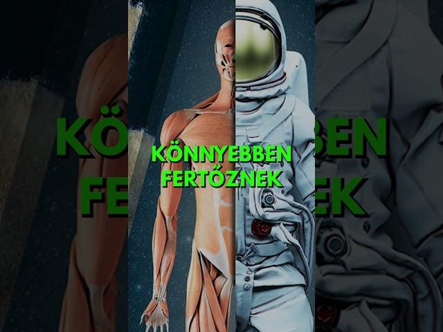 Mi történik, amikor vírust viszünk a világűrbe?