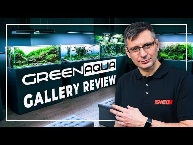 INSIDE THE GREEN AQUA GALLERY 2024 | Aquarium Review with Ratings