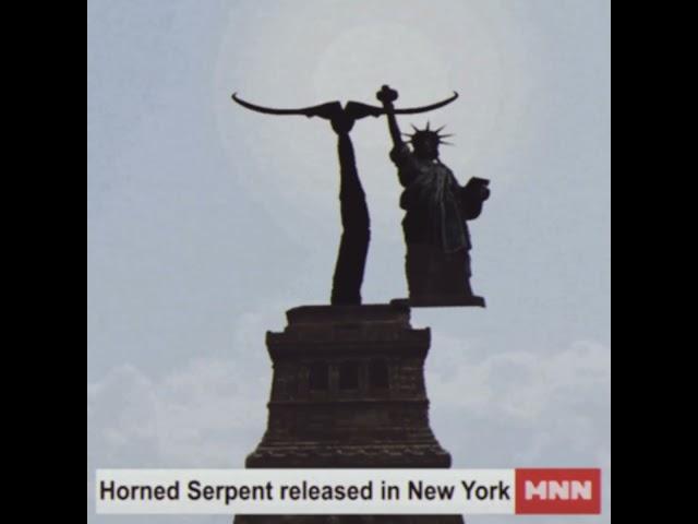 Horned serpent filmed by MNN