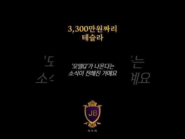 3,300만원짜리 테슬라