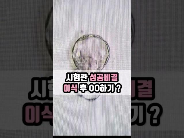 시험관 성공비결, 이식 후 OO 하기?